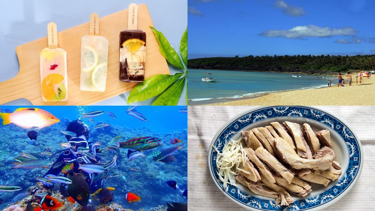 親子潛水天堂!跟熱帶魚同游拍照,順路吃限量鴨肉、冷熱兩吃綠豆饌