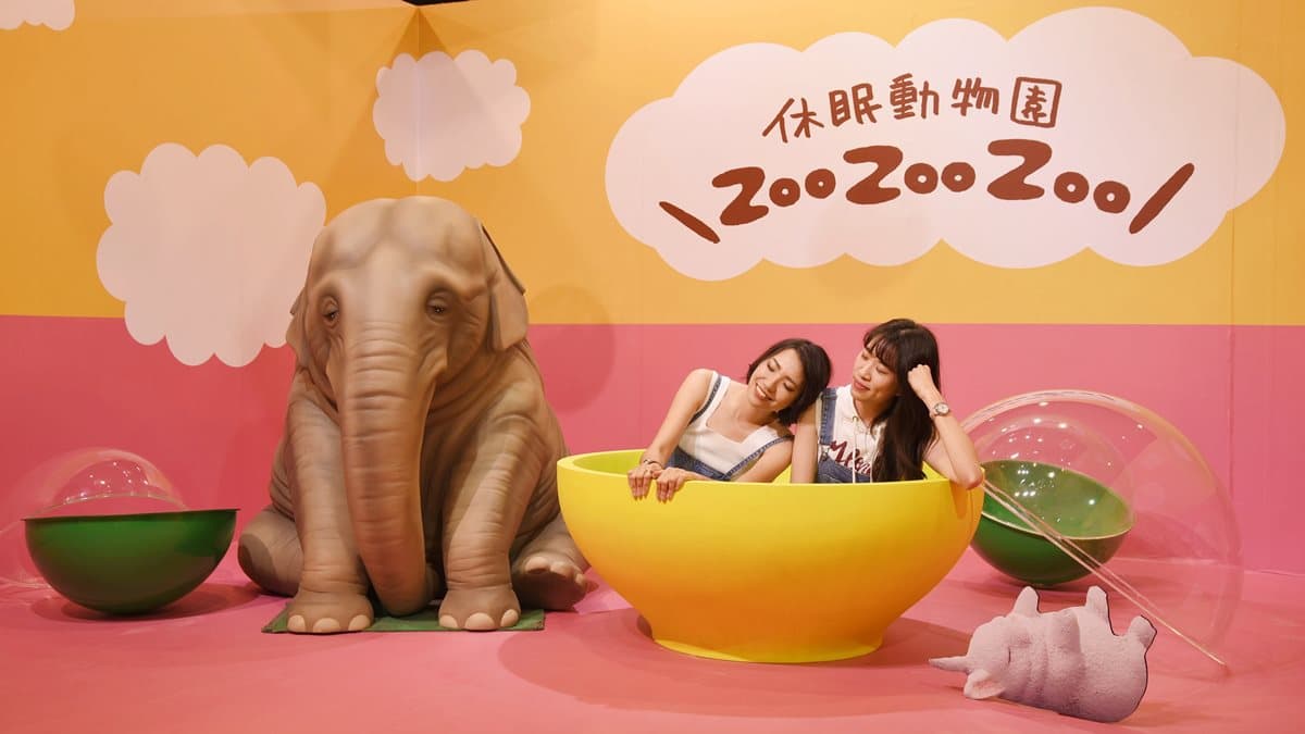 高雄人走囉!超萌的「休眠動物園真人版」在這,五大主題區超好拍