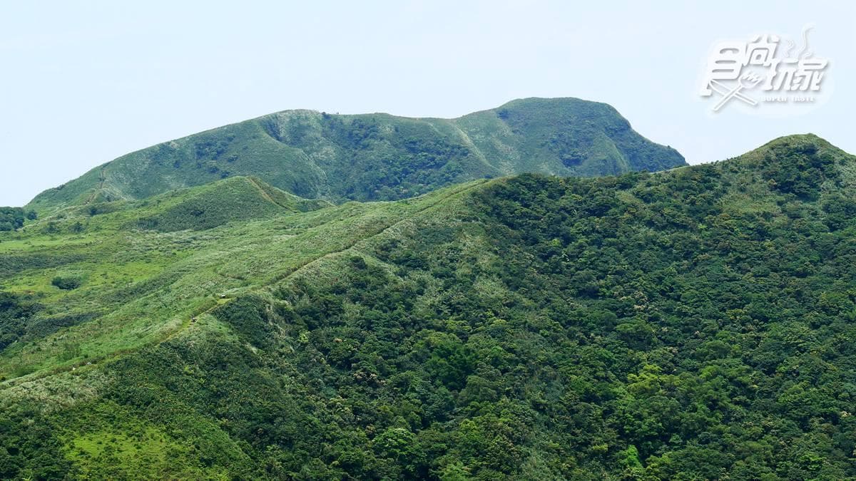 360度海景草原祕境!爆紅步道這山像「拉布拉多」,找神奇「人腦聖地」