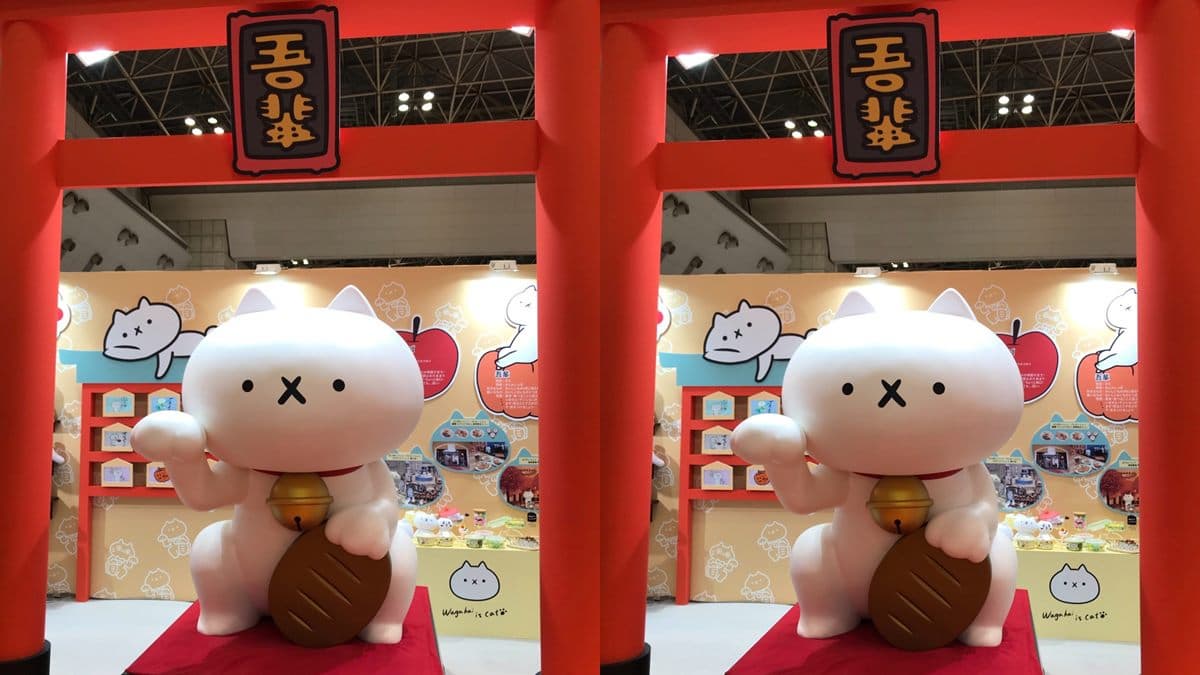 2公尺「反應過激的貓」公仔!主題餐廳、特展在這,陪你過暑假 2公尺「反應過激的貓」公仔!主題餐廳、特展在這,陪你過暑假