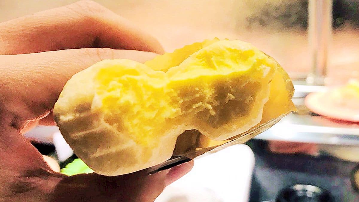 迴轉壽司店這個「冰」狂賣上萬支!「蜂蜜煉乳冰淇淋餅」外帶店買有優惠 迴轉壽司店這個「冰」狂賣上萬支!「蜂蜜煉乳冰淇淋餅」外帶店買有優惠