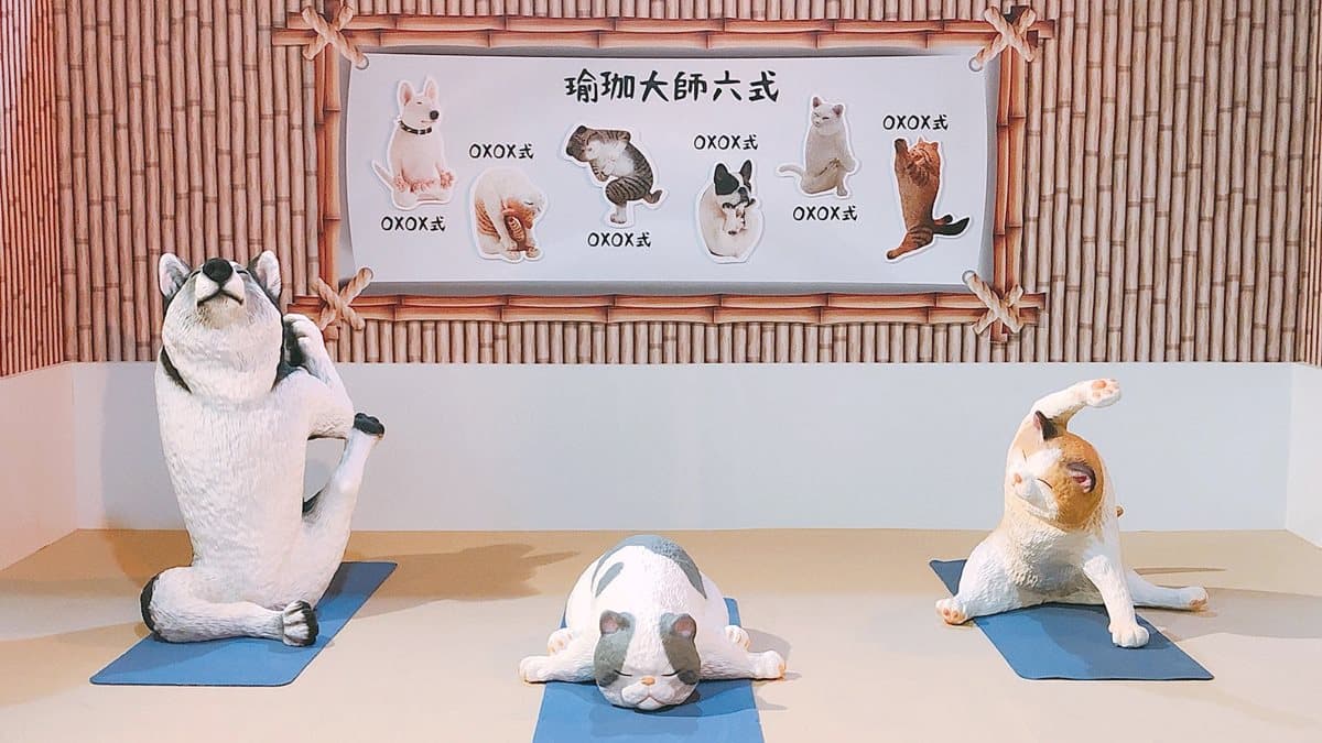 公仔控朝聖!全球首場「朝隈俊男的公仔展」,動物變身「航海王角色」
