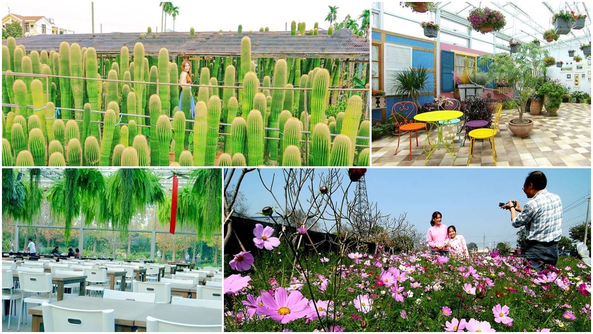 花草系網美最愛!彰化田尾美拍5景點:公路花園、仙人掌綠洲、玻璃屋景觀餐廳