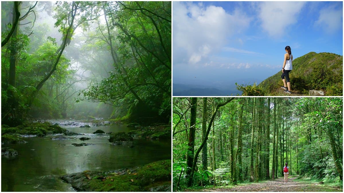 新北9古道這樣玩!「土匪大道」野餐、「山羊洞」探險、「燦光寮」美拍