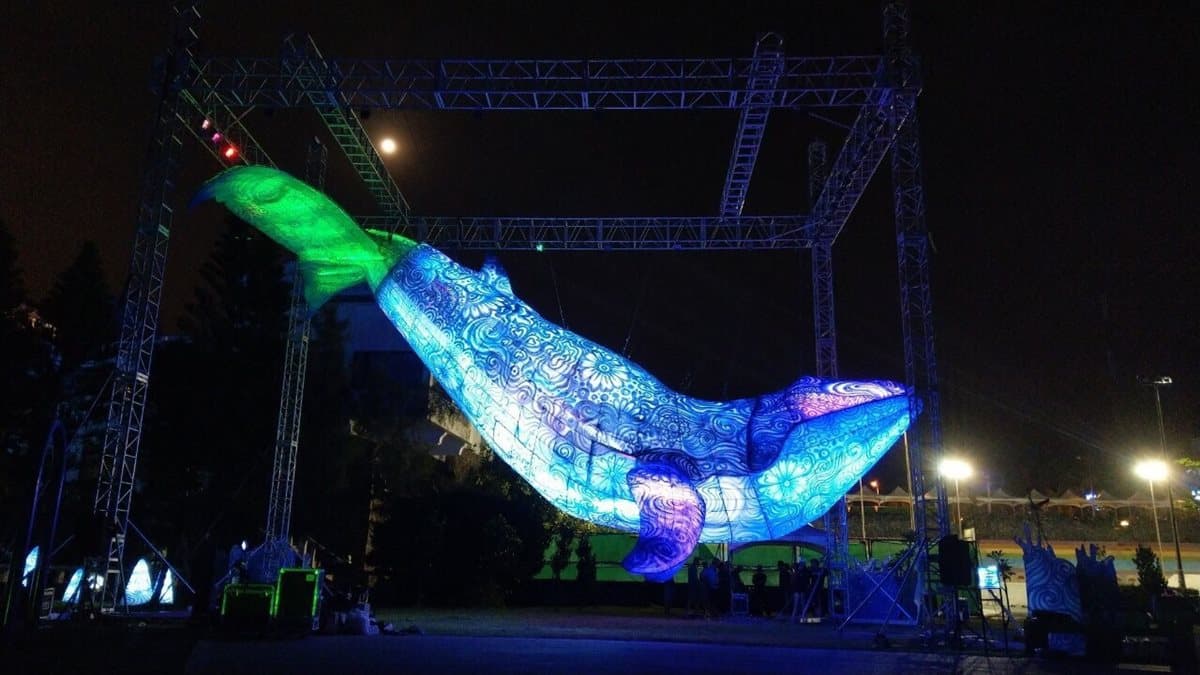 「澎湖海灣燈光節」閃亮登場!巨型鯨魚、440公尺星光虹橋必拍