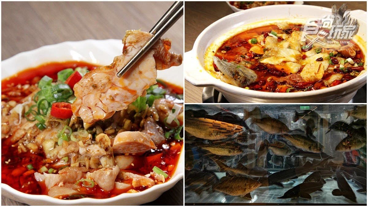 【新開店】麻辣控想衝!20種辛香料「麻辣活魚」現點現撈,挑戰發麻指數