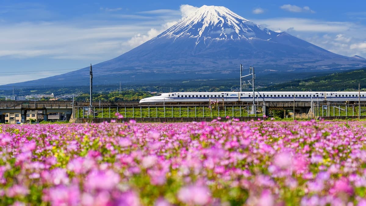 少一個動作噴1000!明年5月起攜「大行李」上日本新幹線需預約