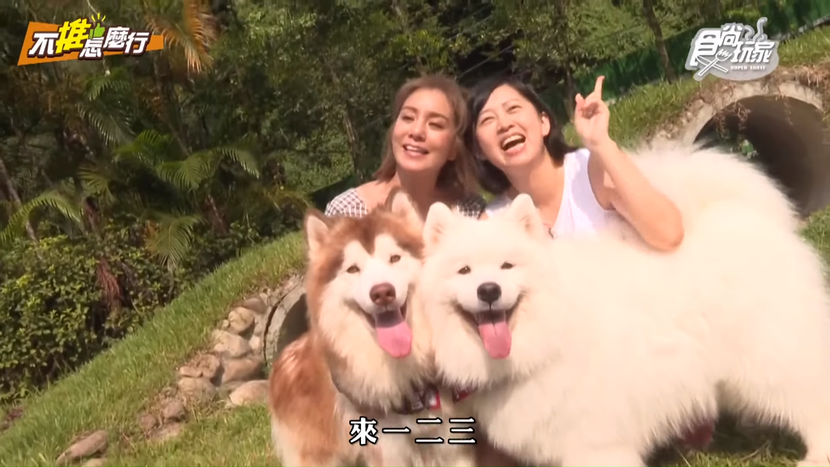 《不推怎麼行》通告三大魔王惡整挑戰賽,莎莎愚婦團崩潰啦!