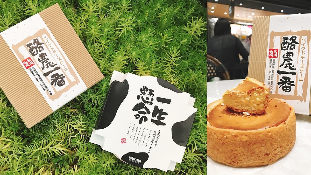 日本控瘋掉!北海道超濃「一生懸命蛋糕」、起司控上癮「酪農一番」,期間快閃這裡吃