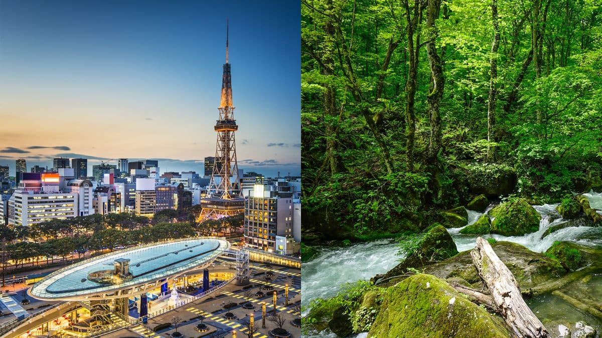 日本13個城市任選!到「這間」影城看電影,免費機票送你爽玩