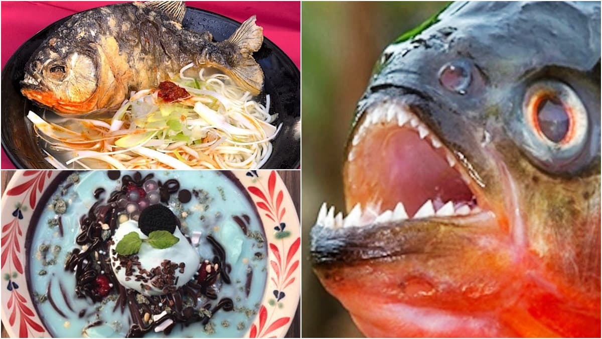 口味無極限!食人魚、珍珠薄荷巧克力變拉麵,限時限量勇者快來吃