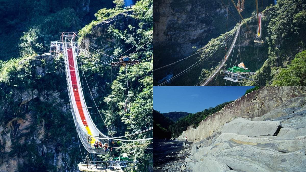挑戰30層樓高「雙龍七彩吊橋」!全新祕境票價公布,這身分享免費入園