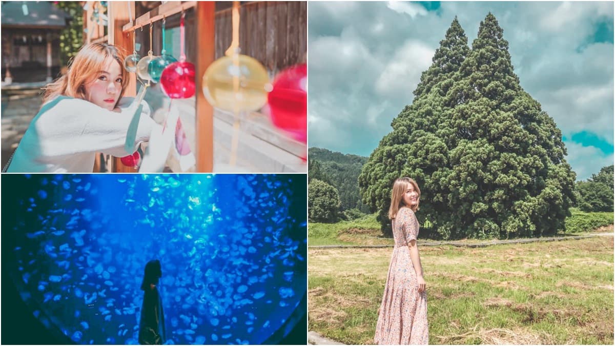 日本最新打卡點都在這!龍貓樹、空氣神社、冰藍水母牆,順遊《神隱》湯屋