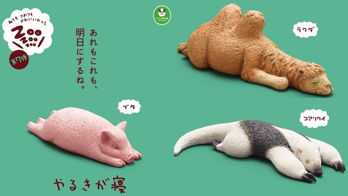 好想跟著睡!最新「休眠動物園公仔」,熊貓之穴派出豬豬、駱駝表演厭世睡