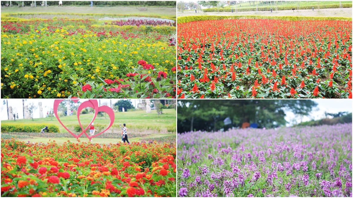 一路美到3月底!全台賞花20熱點:台版「富良野」、台灣鬱金香故鄉、金橘花海瀑布 一路美到3月底!全台賞花20熱點:台版「富良野」、台灣鬱金香故鄉、金橘花海瀑布