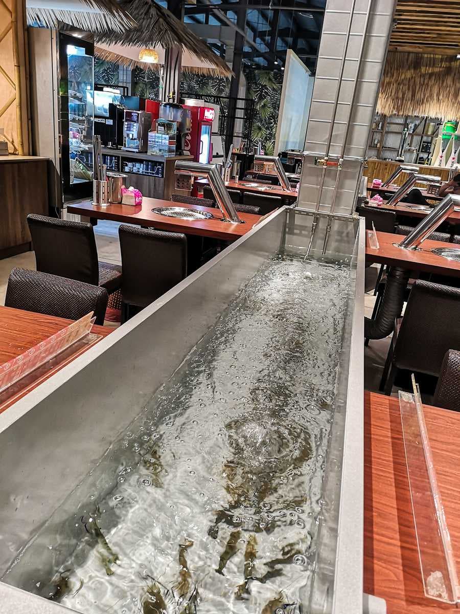 海鮮控最愛!北中南8家海鮮燒烤吃到飽:全台最長LED活蝦水道、帝王蟹無限吃 海鮮控最愛!北中南8家海鮮燒烤吃到飽:全台最長LED活蝦水道、帝王蟹無限吃