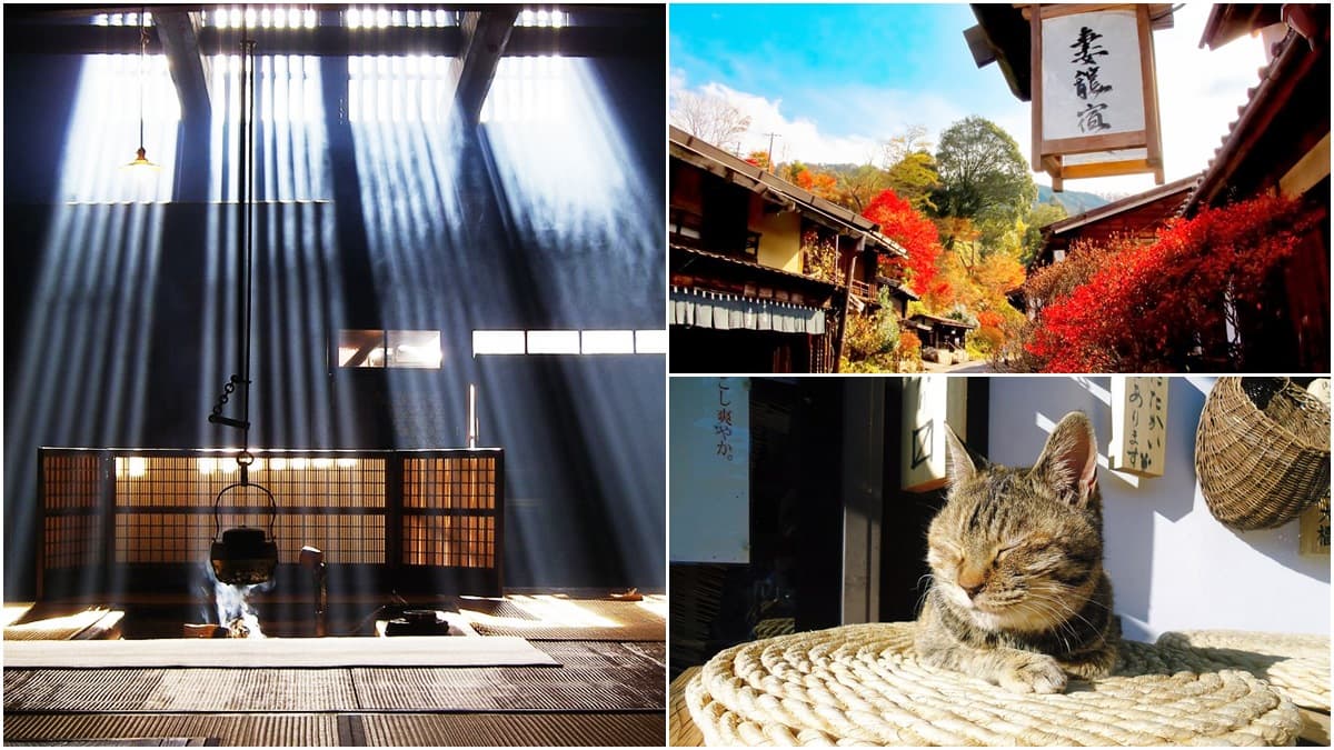 日本秋季限定「祕境巴士」!下車就到江戶老街、楓紅古道、限定「光芒之美」宅院