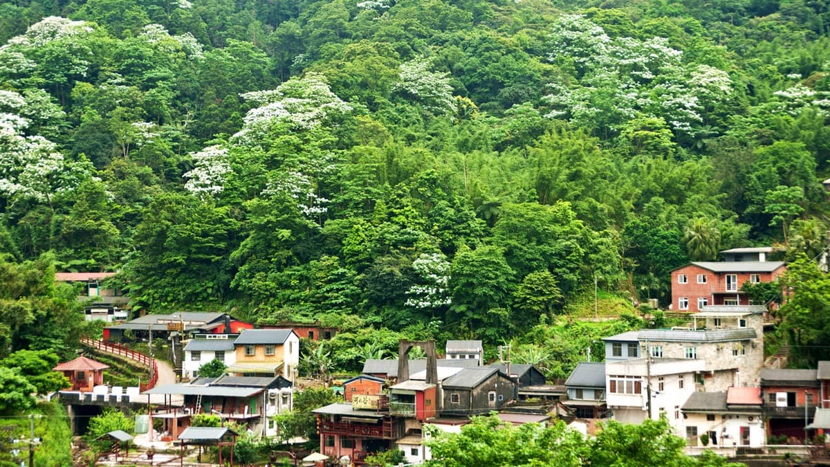 隱藏版「宮崎駿山城」在新北!尋找3億6千歲活化石,還可喝咖啡追火車
