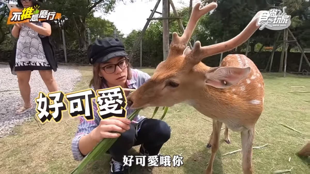 《不推怎麼行》莎莎阿松愚婦自肥之旅!台版奈良、無雷海鮮一次滿足