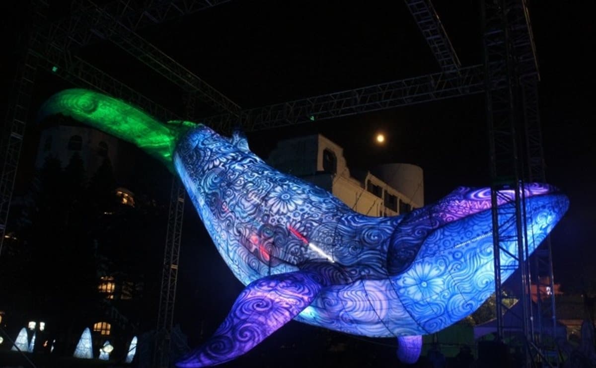 澎湖國際海灣燈光節落幕!「奇幻樹」元宵持續發光發熱 澎湖國際海灣燈光節落幕!「奇幻樹」元宵持續發光發熱