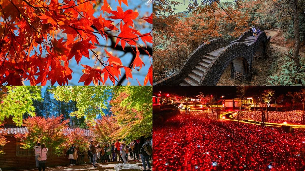 現在去拍最美!北中南7大絕佳賞楓點:京都風雙拱橋、鴛鴦湖步道、豔紅燈海公園