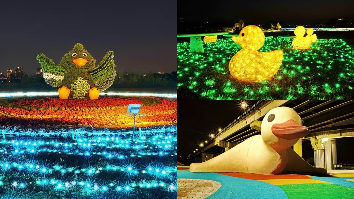 拍美照囉!三重鴨鴨公園光雕秀超可愛,還能玩3.5公尺「鴨鴨溜滑梯」