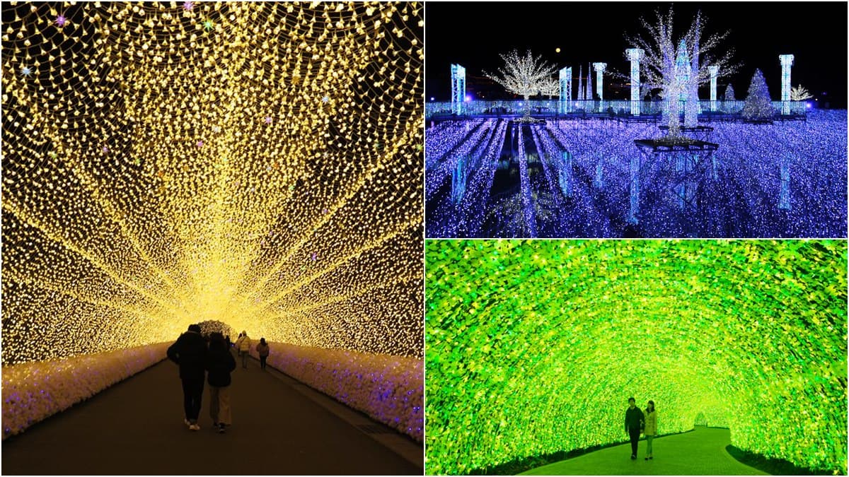 橫跨三縣免費進場!衝「最大燈光節」拍奇蹟櫻花、地球燈景、100公尺油菜花光廊
