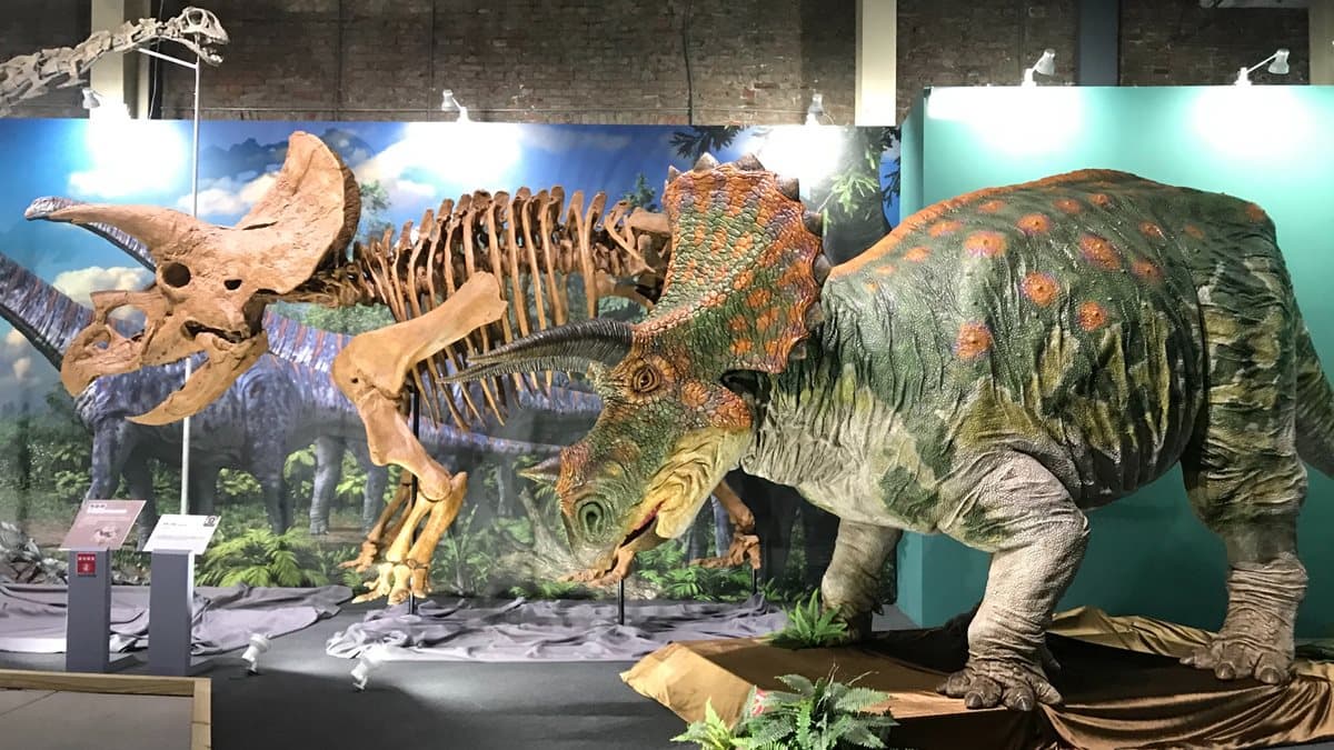 全台「15大打卡展」!米奇、卡娜赫拉、蠟筆小新和哆啦A夢都來惹 全台「15大打卡展」!米奇、卡娜赫拉、蠟筆小新和哆啦A夢都來惹