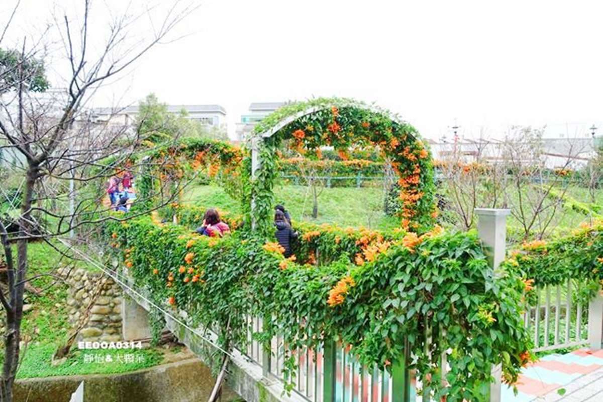 一路美到3月底!全台賞花20熱點:台版「富良野」、台灣鬱金香故鄉、金橘花海瀑布 一路美到3月底!全台賞花20熱點:台版「富良野」、台灣鬱金香故鄉、金橘花海瀑布