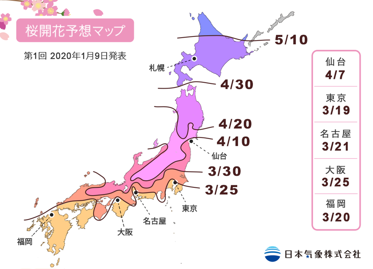 收這張圖訂機票!2020日本櫻花特報,京都、大阪滿開時刻「巧撞台灣連假」 收這張圖訂機票!2020日本櫻花特報,京都、大阪滿開時刻「巧撞台灣連假」