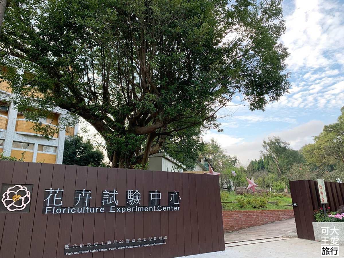 陽明山遛小孩3打卡點:美軍餐廳庭園玩大球、日式老屋喝帽子拿鐵、美拍鼠尾草花田 陽明山遛小孩3打卡點:美軍餐廳庭園玩大球、日式老屋喝帽子拿鐵、美拍鼠尾草花田