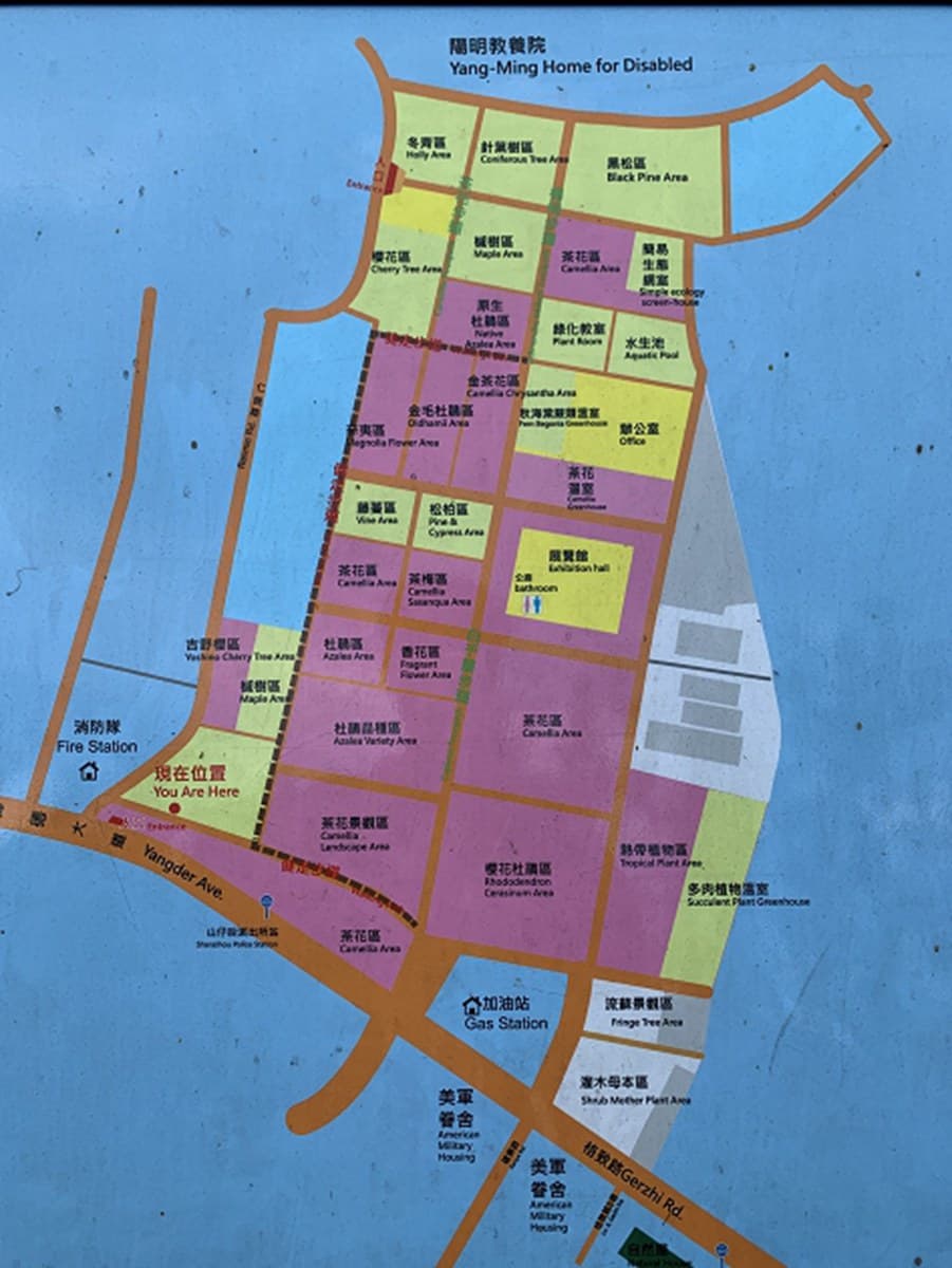 陽明山遛小孩3打卡點:美軍餐廳庭園玩大球、日式老屋喝帽子拿鐵、美拍鼠尾草花田 陽明山遛小孩3打卡點:美軍餐廳庭園玩大球、日式老屋喝帽子拿鐵、美拍鼠尾草花田