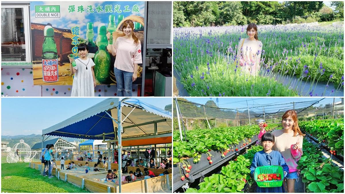 苗栗親子遊5打卡點:大湖採牛奶草莓、汽水工廠喝到飽、美拍薰衣草花田