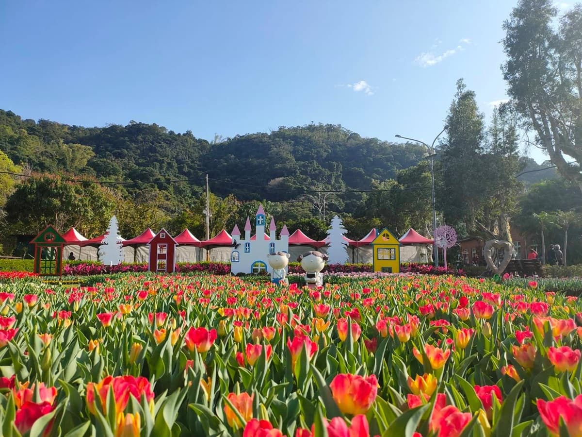 鬱金香展最大規模!不用飛荷蘭日本,士林官邸10萬盆彩色鬱金香「站好等你拍」 鬱金香展最大規模!不用飛荷蘭日本,士林官邸10萬盆彩色鬱金香「站好等你拍」
