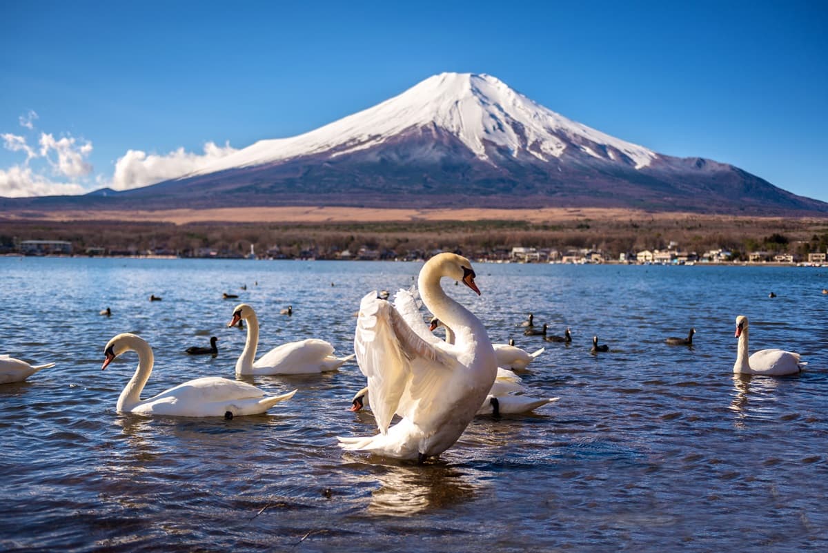 你不知道的「日本聖山」!揭祕富士山「性別面紗」,意外曝光天皇不長命的原因 你不知道的「日本聖山」!揭祕富士山「性別面紗」,意外曝光天皇不長命的原因