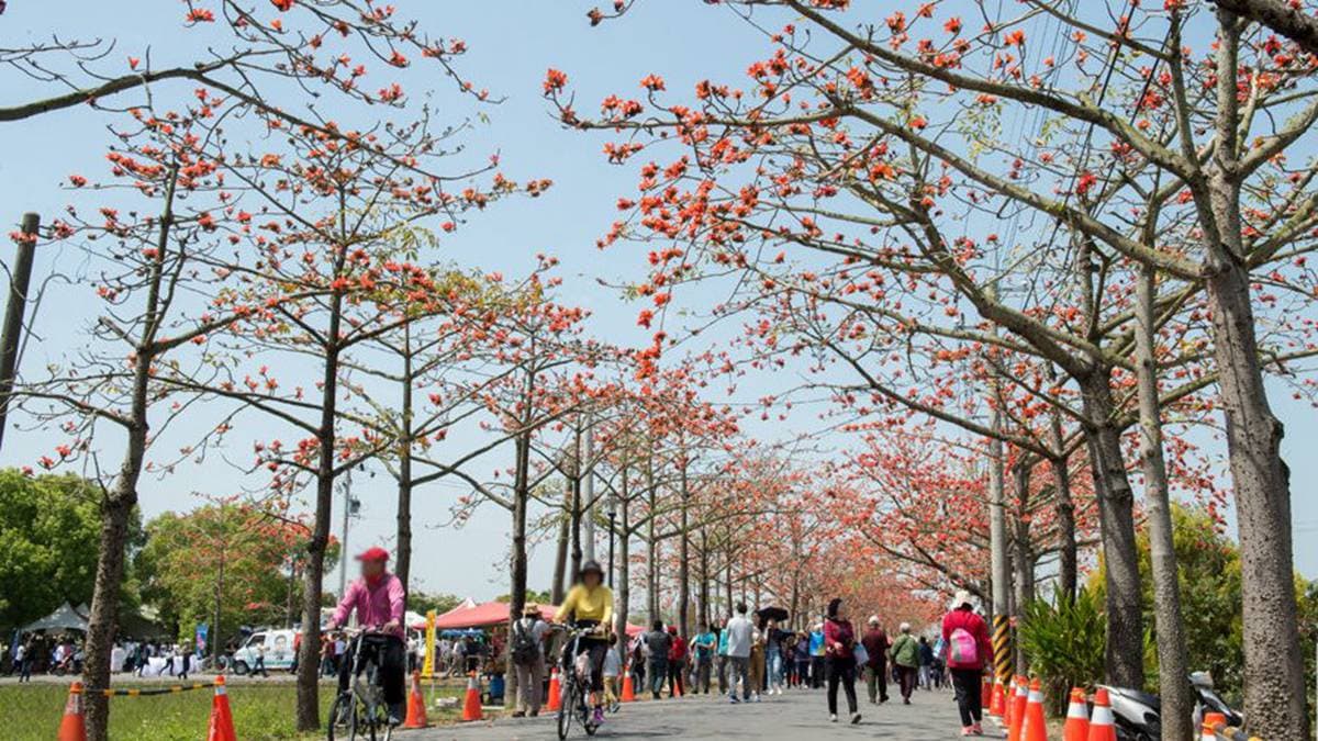 全球最美!3月必拍橘紅花道在這裡,加碼再推薦14處熱門賞花點
