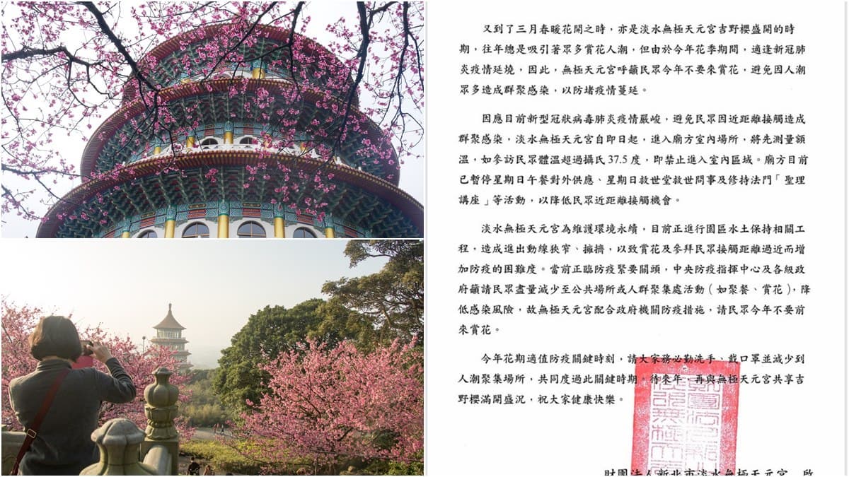 不要來賞花!正進入最美花期...淡水天元宮突發「緊急公告」:會戴口罩拍給大家看