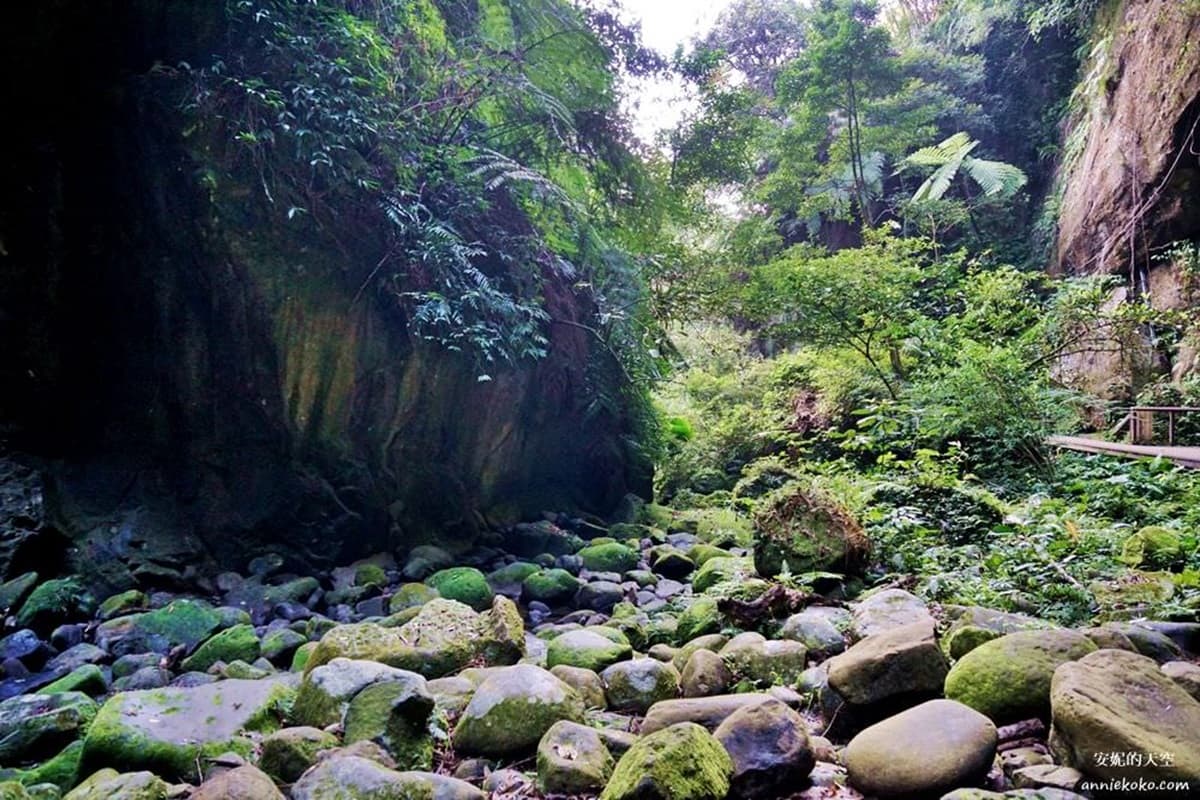 【全台28大綠色祕境】躲疫情來這!北部5個自然系輕景點:青娃石、寶座花、蝙蝠洞 【全台28大綠色祕境】躲疫情來這!北部5個自然系輕景點:青娃石、寶座花、蝙蝠洞