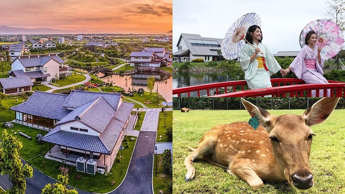 不用衝日本!全台唯一日式園區飯店+台版奈良,每人不到2500元入住當網美