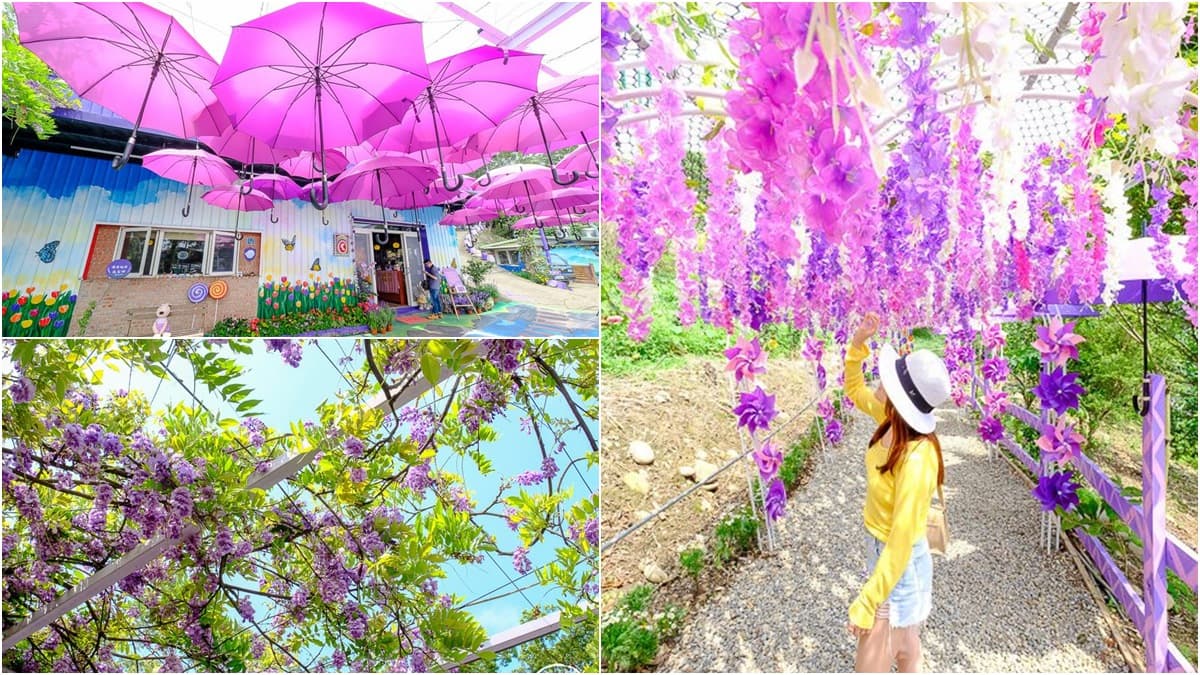 紫色控會愛!超繽紛園區必拍糖果小屋、紫藤花隧道,「雨傘大街」不用濾鏡就超美