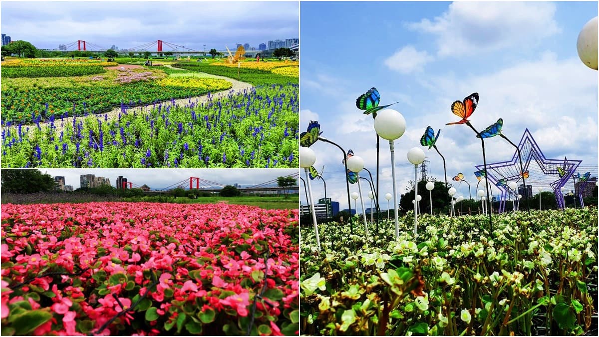 新北河濱蝶戀季4/11登場!6大主題區打造「樂園級花海」,百萬顆星星燈入夜超奇幻