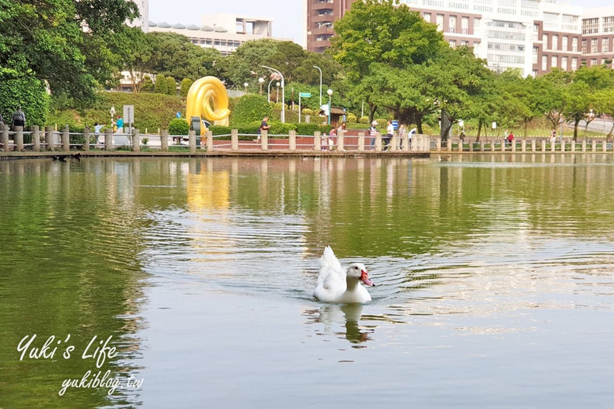 帶小孩放電!桃園戶外3打卡點:森林系動物農場、日本引進50公尺溜滑梯 帶小孩放電!桃園戶外3打卡點:森林系動物農場、日本引進50公尺溜滑梯