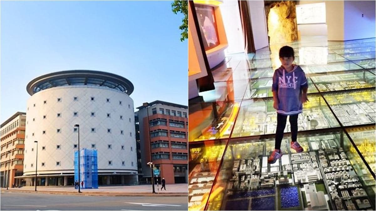 帶小孩放電!桃園戶外3打卡點:森林系動物農場、日本引進50公尺溜滑梯 帶小孩放電!桃園戶外3打卡點:森林系動物農場、日本引進50公尺溜滑梯