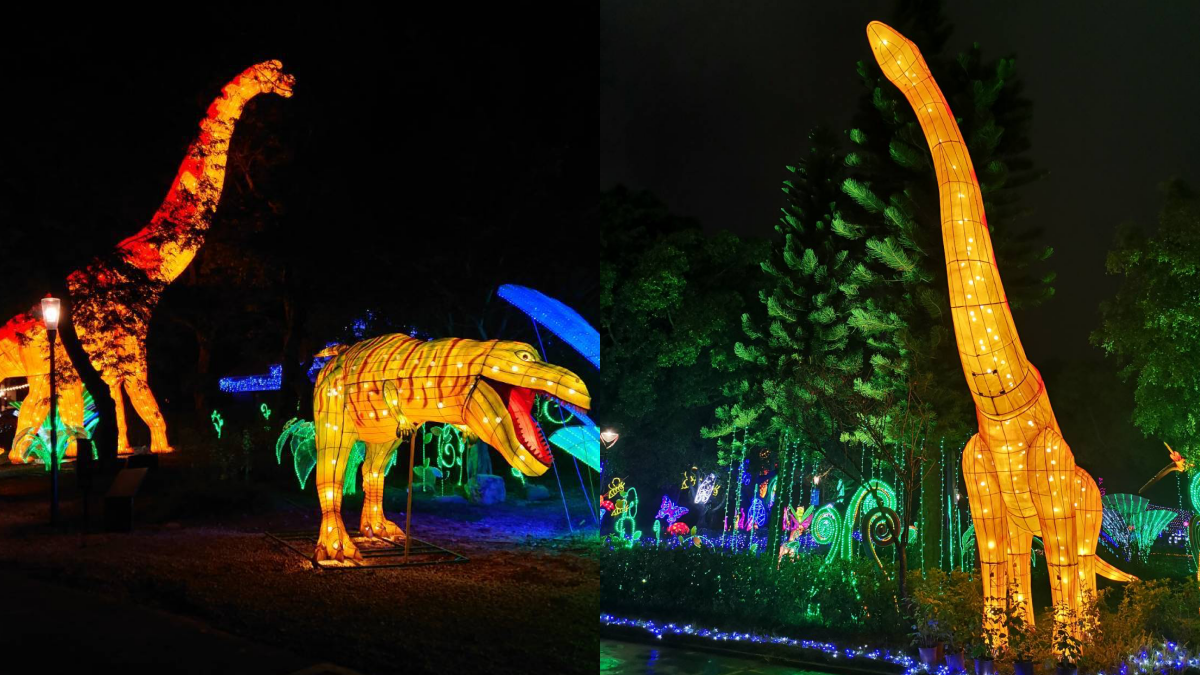 夜間動物園在台中!「動物狂歡嘉年華」燈會安可場,把握這一個半月