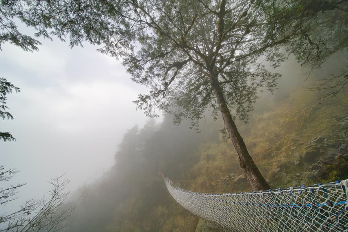 太平山見晴步道