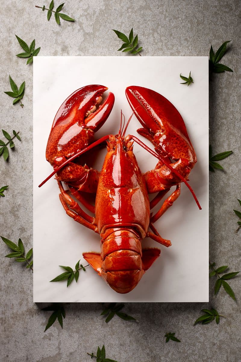 痛風也要吃!海鮮蒸氣鍋「波士頓龍蝦」買一送一,加碼6月每週四全面8折 痛風也要吃!海鮮蒸氣鍋「波士頓龍蝦」買一送一,加碼6月每週四全面8折