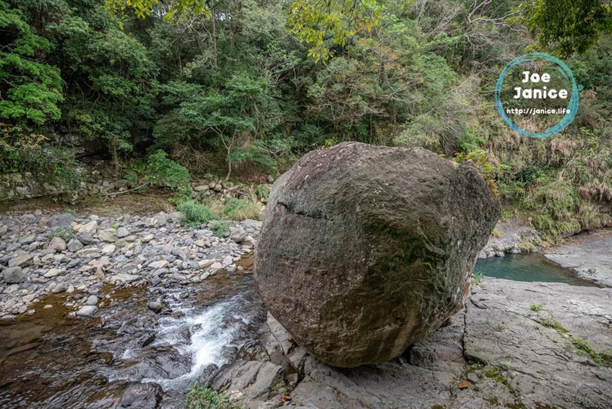 桃園芬多精一日遊4打卡點:15層樓高水管橋、透明天空步道、千年神木保護區 桃園芬多精一日遊4打卡點:15層樓高水管橋、透明天空步道、千年神木保護區