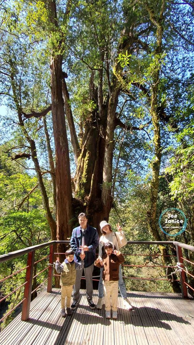 桃園芬多精一日遊4打卡點:15層樓高水管橋、透明天空步道、千年神木保護區 桃園芬多精一日遊4打卡點:15層樓高水管橋、透明天空步道、千年神木保護區