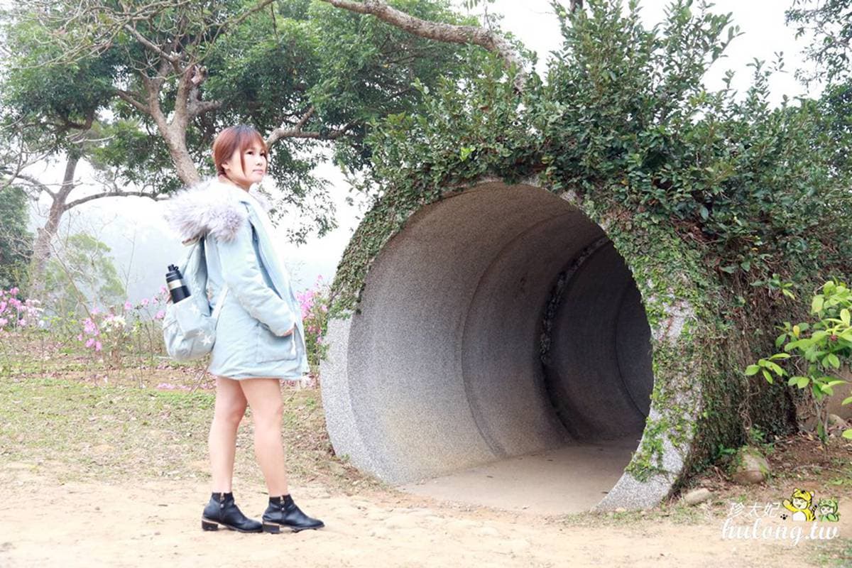 遛小孩必衝!苗栗5大親子打卡點:恐龍溜滑梯、花田小火車、小白兔童趣布景 遛小孩必衝!苗栗5大親子打卡點:恐龍溜滑梯、花田小火車、小白兔童趣布景