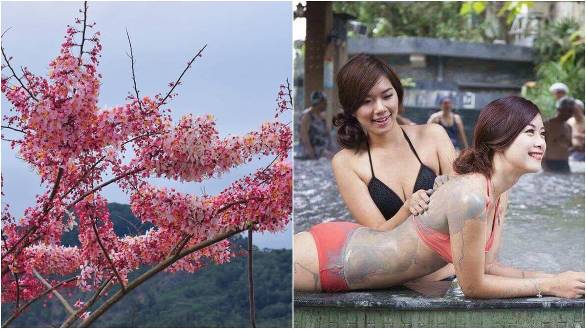 51連假限時優惠!台南、高雄、屏東泡湯美食優惠券免費送,還可賞平地櫻花
